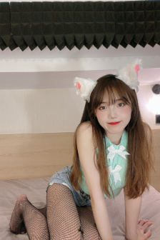 凡赫辛2